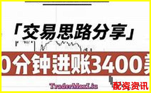 十倍杠杆投资盈利计算模型解析与应用实例
